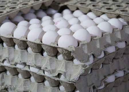 قیمت مصوب جدید تخم مرغ به زودی اعلام می‌شود