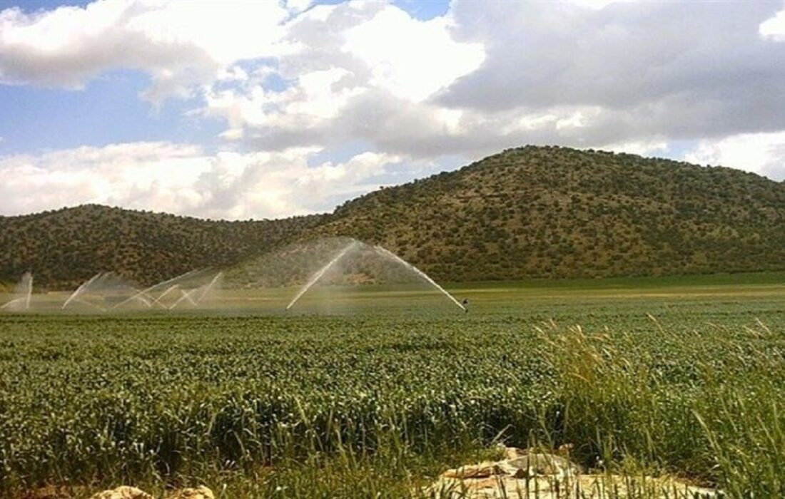 اجرای سامانههای نوین آبیاری در سطح ۳ میلیون و ۲۰۰ هزار هکتار اراضی